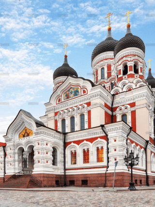 demo-attachment-645-Image-7